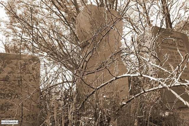 Cheapside Baptist ChurchCemetery photo 5