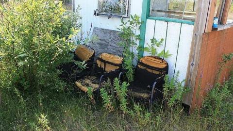 August 2016 - The-Dot5.jpg