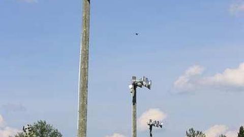 August 2016 - The-Dot7.jpg