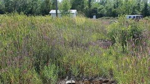 August 2016 - The-Dot10.jpg