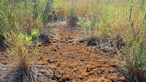 August 2016 - The-Dot12.jpg