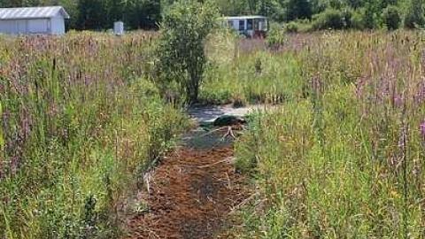 August 2016 - The-Dot15.jpg