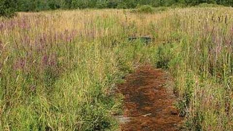 August 2016 - The-Dot17.jpg