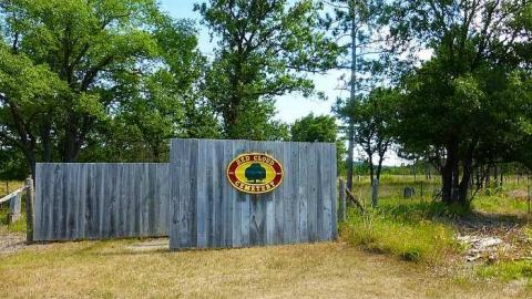 Red Cloud 2 - Red-Cloud-(ghost-town)56.jpg