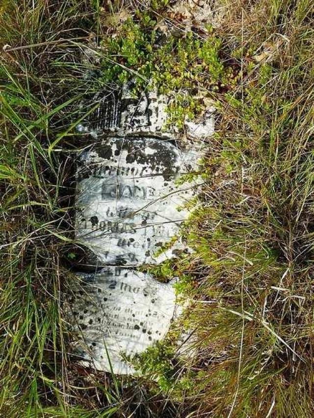 Red Cloud (ghost town) photo 5