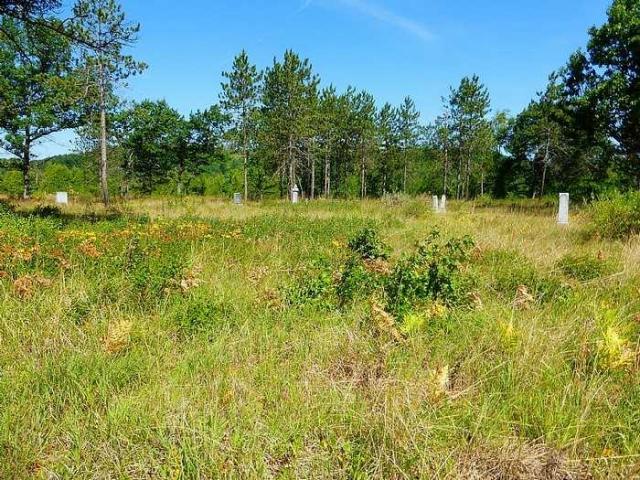 Red Cloud (ghost town) photo 5