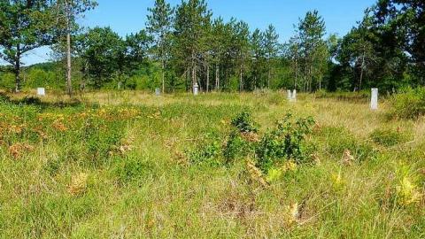 Red Cloud 2 - Red-Cloud-(ghost-town)73.jpg
