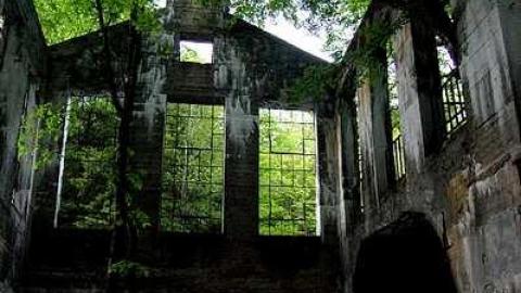 June 2016 - DSC_0628.2.jpg