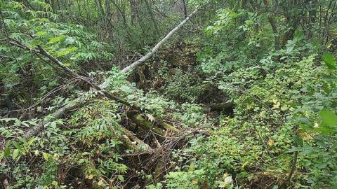 Cowan's Chimneys Historic Site photo 3
