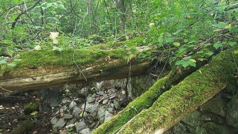 Cowan's Chimneys Historic Site photo 4