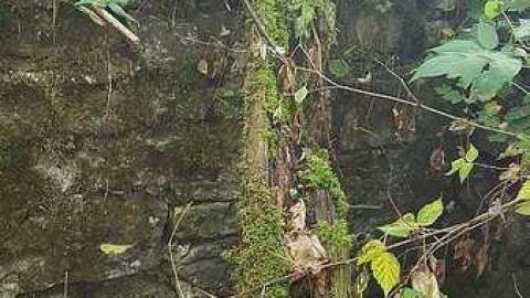 Cowan's Chimneys Historic Site photo 5