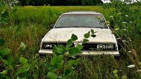 Hunting Shacks photo 2