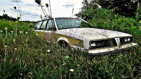 Trailer Park - Hunting-Shacks2.jpg