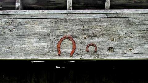 Trailer Park - Hunting-Shacks8.jpg