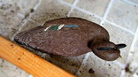 Hunting Shacks - Southgate, Ontario