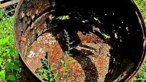 Private Hunting photo 3