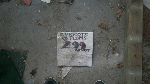 flower shop - Flower-Shop5.jpg