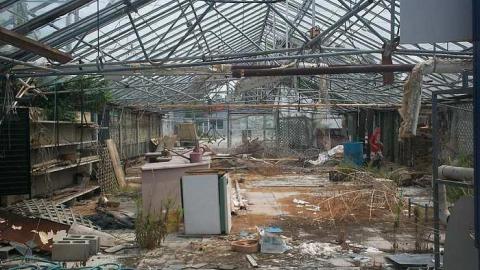 flower shop - Flower-Shop15.jpg