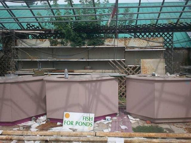 Stewart's Florist photo 4