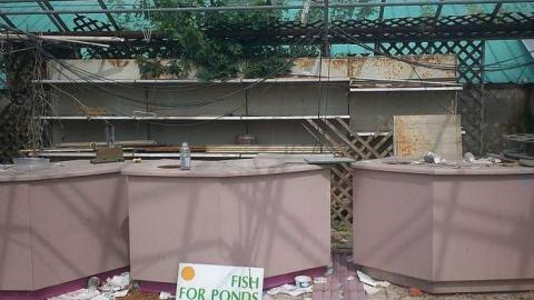 Stewart's Florist photo 4