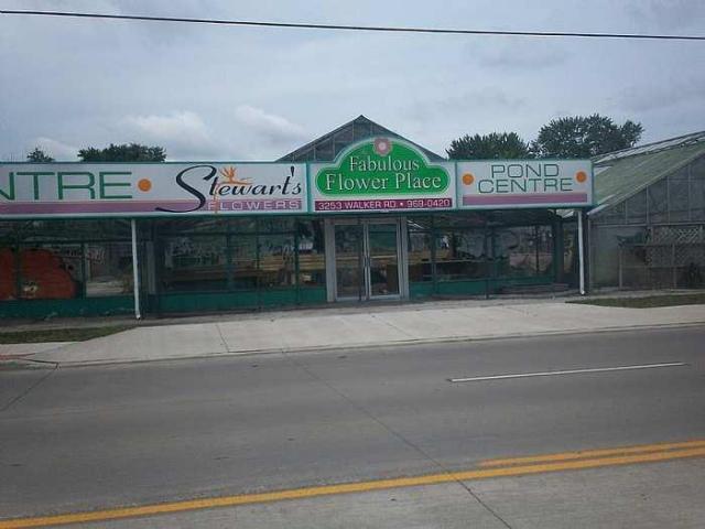 Stewart's Florist - Windsor, Ontario