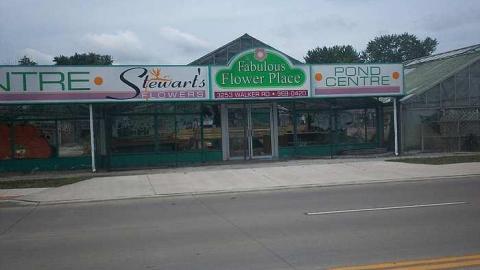 Stewart's Florist - Windsor, Ontario