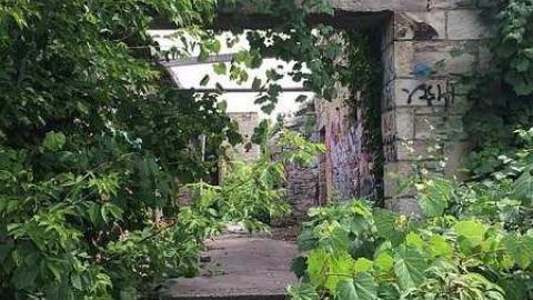 August 2016 - Barber-Paper-Mill--Georgetown791.jpg