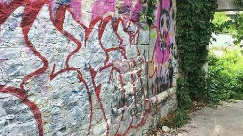 August 2016 - Barber-Paper-Mill--Georgetown781.jpg