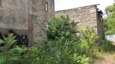 August 2016 - Barber-Paper-Mill--Georgetown788.jpg