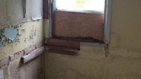 August 2016 - IMG_1661.jpg