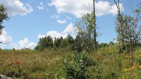 August 2016 - Cascades-dEau-Piedmont1.jpg