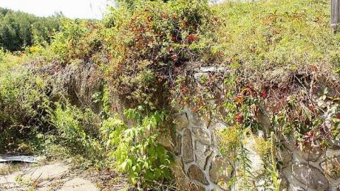 August 2016 - Cascades-dEau-Piedmont21.jpg