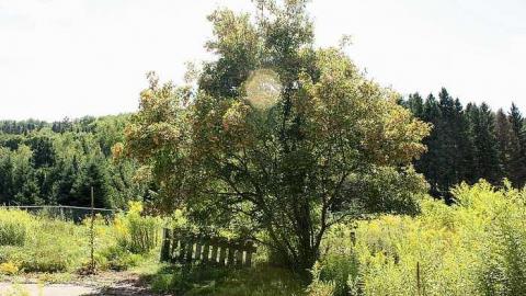 August 2016 - Cascades-dEau-Piedmont2.jpg