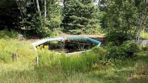 August 2016 - Cascades-dEau-Piedmont4.jpg