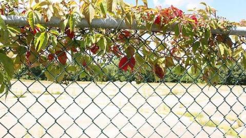 August 2016 - Cascades-dEau-Piedmont5.jpg