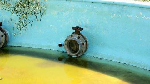 August 2016 - Cascades-dEau-Piedmont26.jpg