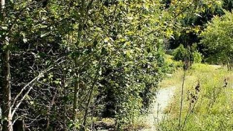 August 2016 - Cascades-dEau-Piedmont18.jpg