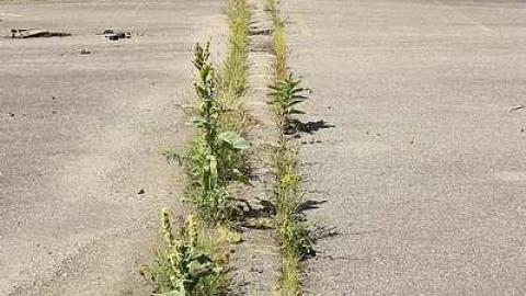 August 2016 - Cascades-dEau-Piedmont27.jpg