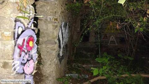 Dog Chains - Hyde-Mill-Ruins-(Streetsville)57.jpg