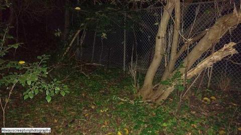 Dog Chains - Hyde-Mill-Ruins-(Streetsville)55.jpg