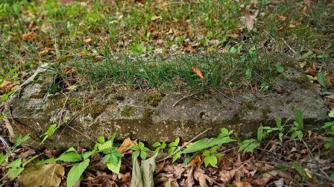 Hidden To Most - ChryslerRockport--Cemetery3.jpg