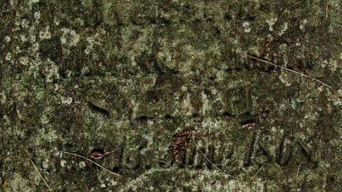 Hidden To Most - ChryslerRockport--Cemetery17.jpg