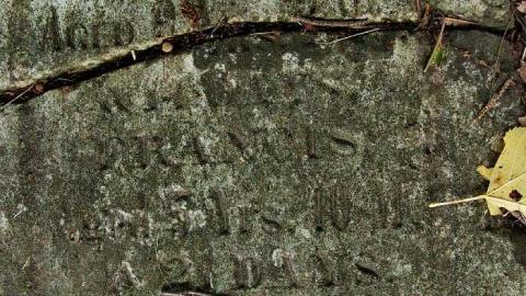 Chrysler-Rockport  Cemetery photo 5