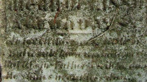 Chrysler-Rockport  Cemetery photo 4