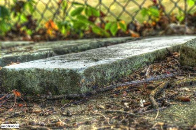 Chrysler-Rockport  Cemetery - Haldimand County, Ontario