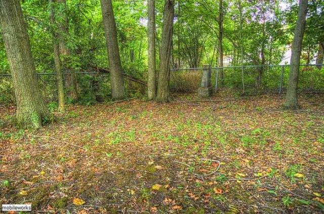 Chrysler-Rockport  Cemetery photo 3