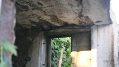 July 2011 - 007_5A.jpg