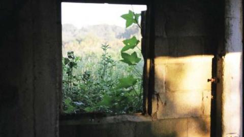 July 2011 - 009_7A.jpg