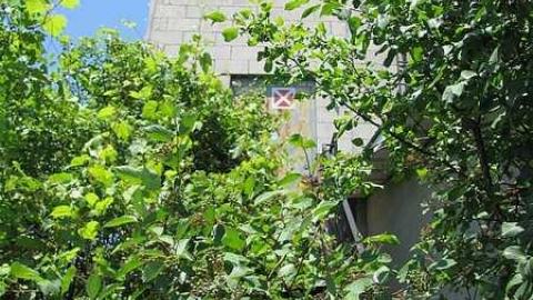 Town and Country Fitness - IMG_9778.jpg