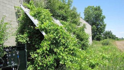 Town and Country Fitness - IMG_9780.jpg